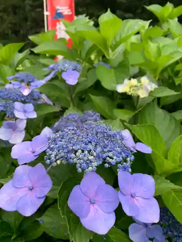 清瀧神社(栃木県)