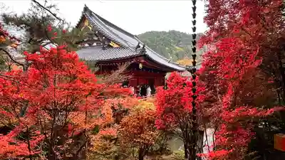 毘沙門堂門跡(京都府)