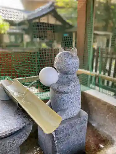 荻窪白山神社(東京都)