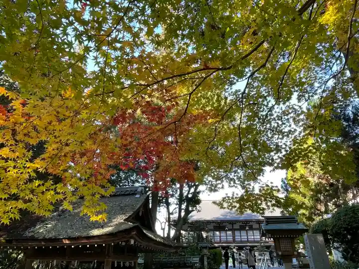 大神神社の{uncategorized: "未分類", other: "その他", undefined: "問題あり", building: "その他建物", grave: "お墓", sacred_gate: "鳥居", guardian: "狛犬", statue: "像", buddha: "仏像", history: "歴史", nature: "自然", garden: "庭園", animal: "動物", pagoda: "塔", temizu: "手水舎", mountain_gate: "山門・神門", sanctuary: "本殿・本堂", subordinate: "末社・摂社", art: "芸術", scenery: "景色", jizo: "地蔵", ema: "絵馬", goshuin: "御朱印", omikuji: "おみくじ", items: "授与品その他", amulet: "お守り", goshuincho: "御朱印帳", eats: "食事", festival: "お祭り", votive_dance: "神楽", shichigosan: "七五三参", wedding: "結婚式", experience: "体験その他", initially: "初詣", around: "周辺", anti_infection: "感染症対策"}