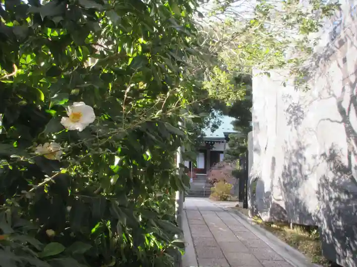 遍照寺(神奈川県)