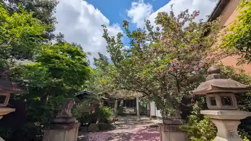 若宮神社の自然