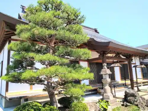明観寺の本殿・本堂