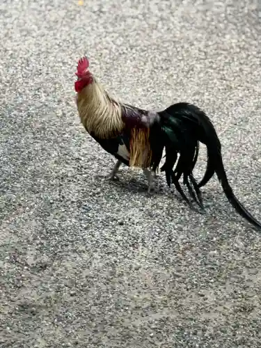 石上神宮(奈良県)