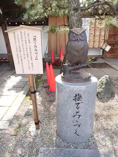 射楯兵主神社の狛犬