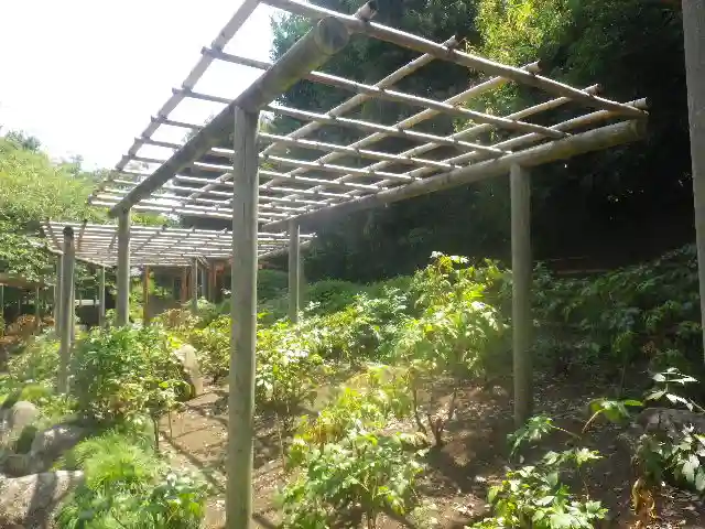 鶴岡八幡宮の庭園