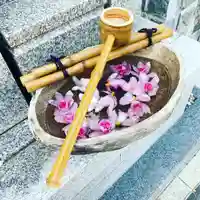 京都祇園堂(廃寺?)の手水舎