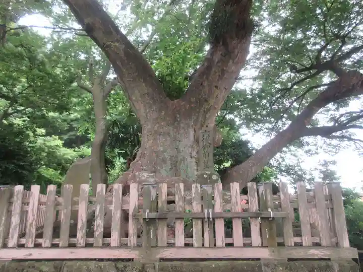 六代山不動院(神奈川県)
