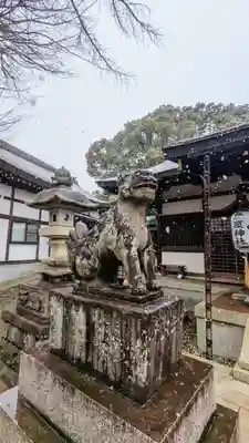 登渡神社の狛犬