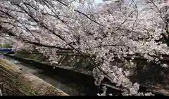 大宮八幡宮の自然