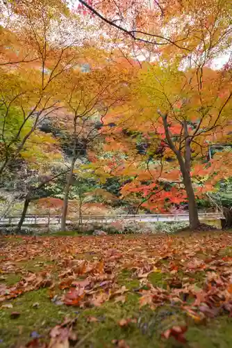 大寧寺(山口県)