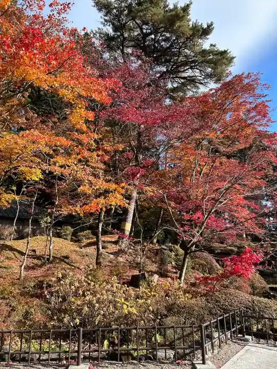 日光山輪王寺三仏堂の自然
