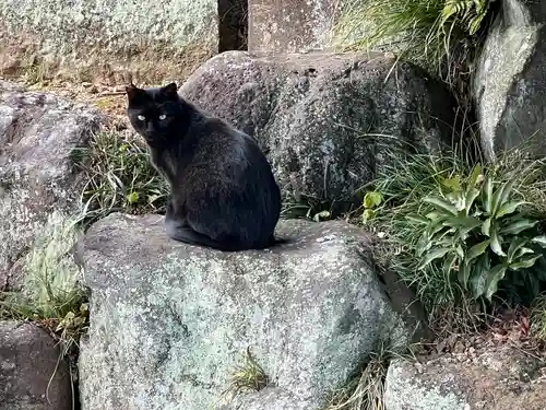 聖天院(埼玉県)