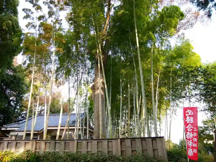 三芳野神社(埼玉県)