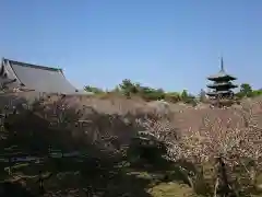 仁和寺の建物その他