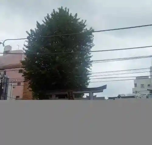 柏神社(千葉県)