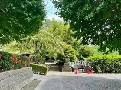 国分寺（相模國分寺）(神奈川県)