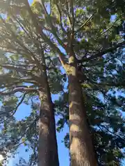 八宮神社(群馬県)