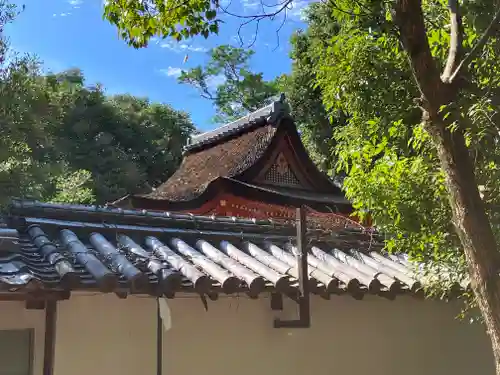 春日神社の本殿・本堂