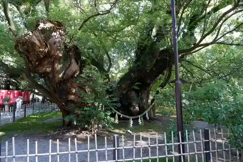 浜松八幡宮(静岡県)