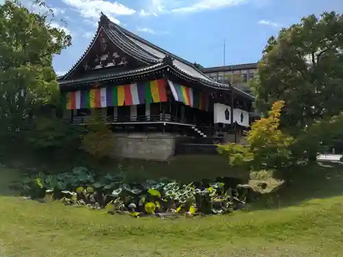  智積院(京都府)