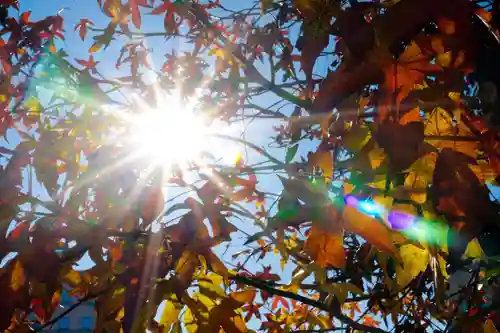 四ツ塚神社(長野県)