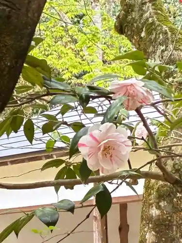 興聖寺(滋賀県)
