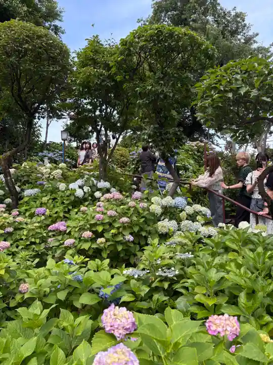 白山神社(東京都)