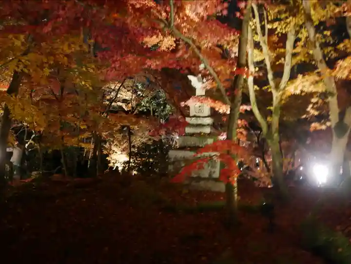 禅林寺(永観堂)(京都府)