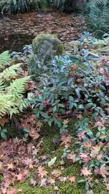 三千院門跡(京都府)