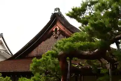 大覚寺(京都府)