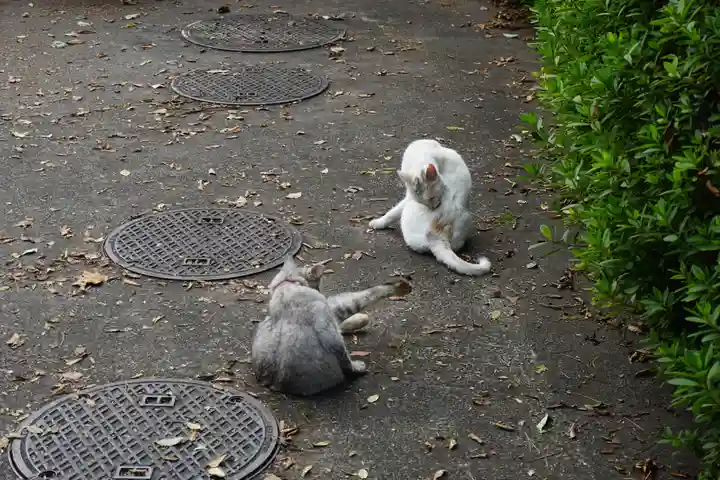 唐澤山神社の動物