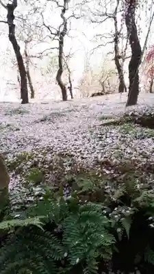 城南宮(京都府)