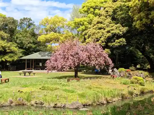 法乗院（深川閻魔堂）の自然