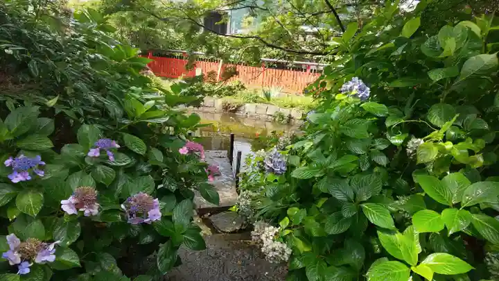 稗田野神社(薭田野神社)の自然