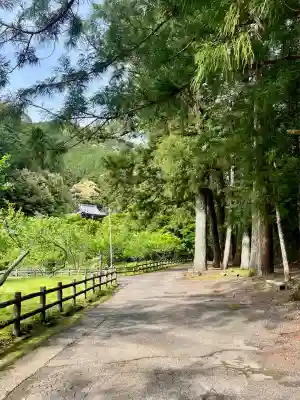 洞慶院(静岡県)