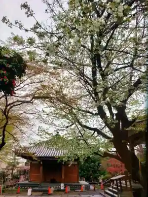 宝福寺(東京都)