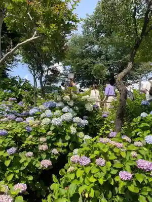 白山神社(東京都)