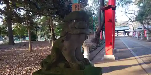 峯ヶ岡八幡神社の狛犬