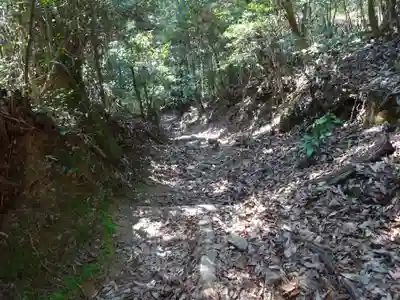 毘沙門窟の自然