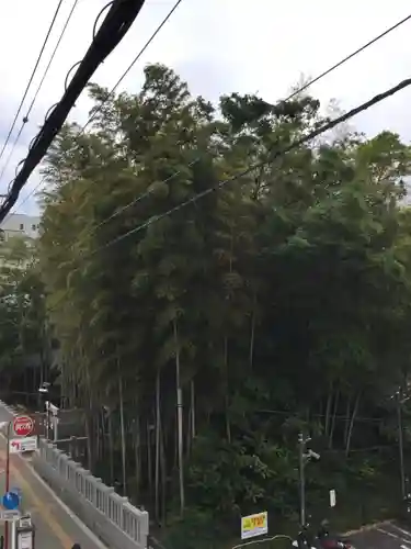 不知森神社の自然