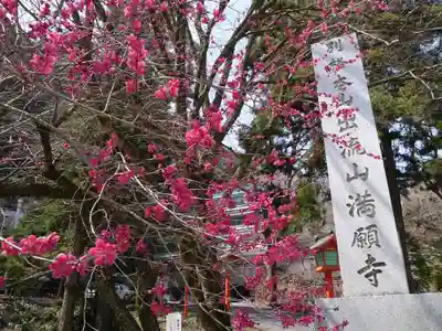 満願寺のその他建物