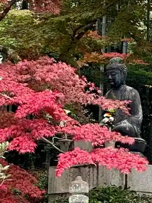 榮攝院（栄摂院）(京都府)