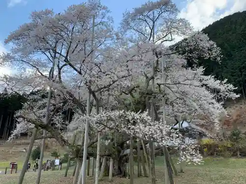 薄墨観音の自然