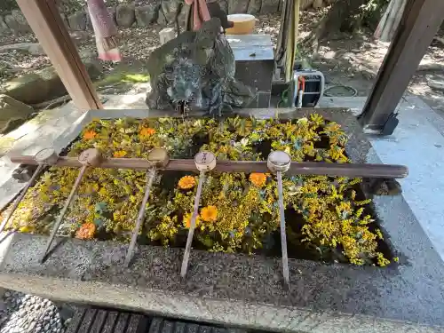 清洲山王宮　日吉神社の{uncategorized: "未分類", other: "その他", undefined: "問題あり", building: "その他建物", grave: "お墓", sacred_gate: "鳥居", guardian: "狛犬", statue: "像", buddha: "仏像", history: "歴史", nature: "自然", garden: "庭園", animal: "動物", pagoda: "塔", temizu: "手水舎", mountain_gate: "山門・神門", sanctuary: "本殿・本堂", subordinate: "末社・摂社", art: "芸術", scenery: "景色", jizo: "地蔵", ema: "絵馬", goshuin: "御朱印", omikuji: "おみくじ", items: "授与品その他", amulet: "お守り", goshuincho: "御朱印帳", eats: "食事", festival: "お祭り", votive_dance: "神楽", shichigosan: "七五三参", wedding: "結婚式", experience: "体験その他", initially: "初詣", around: "周辺", anti_infection: "感染症対策"}