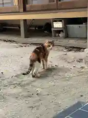 長福寺の動物