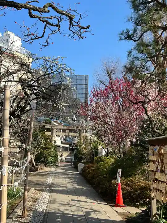 鳩森八幡神社の庭園