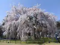 足羽神社(福井県)