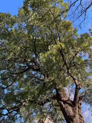 駒込天祖神社(東京都)