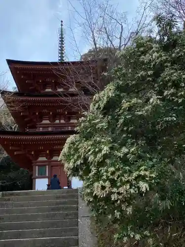 浄瑠璃寺の塔